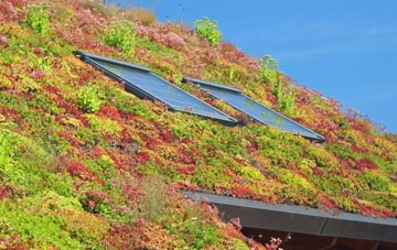 Meadow Head living roof systems