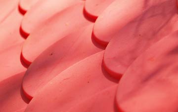 Meadow Head plastic roof costs